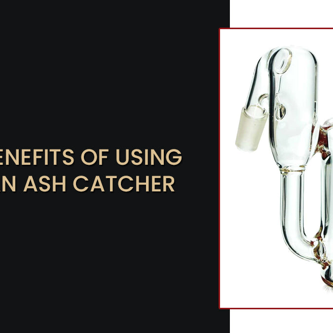 Benefits of Using an Ash Catcher