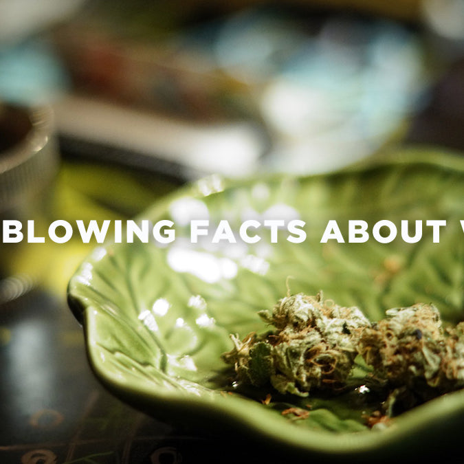 Mind Blowing Facts About Weed