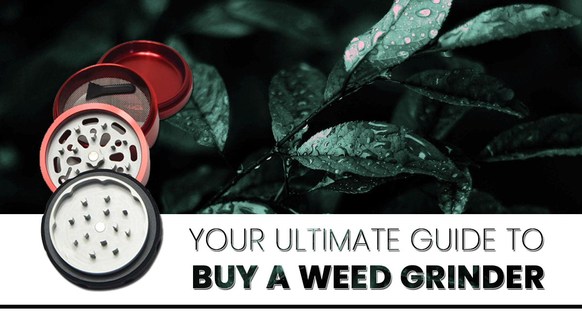Your Ultimate Guide to Buy a Weed Grinder