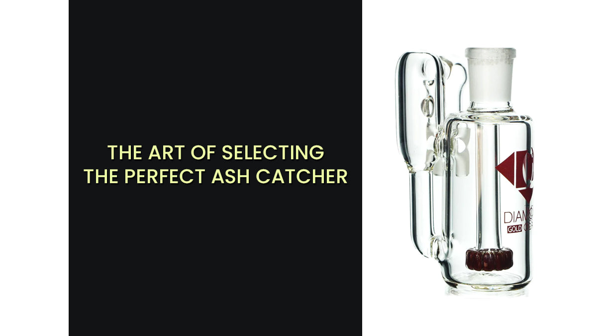 The Art of Selecting the Perfect Ash Catcher