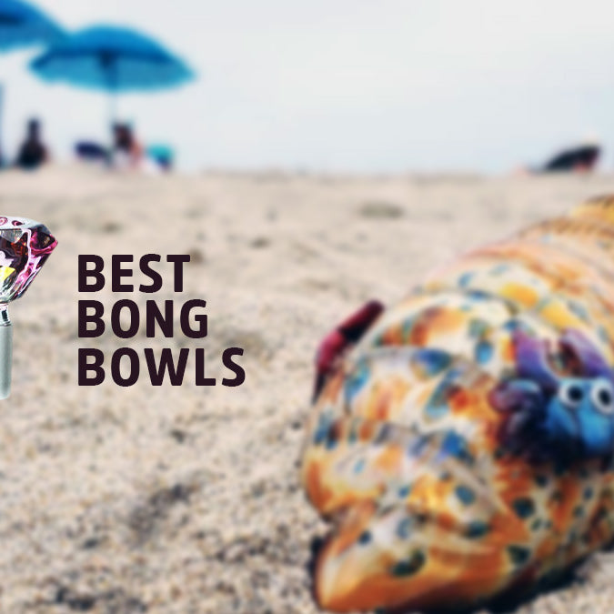 10 Best Bong Bowls for 2023