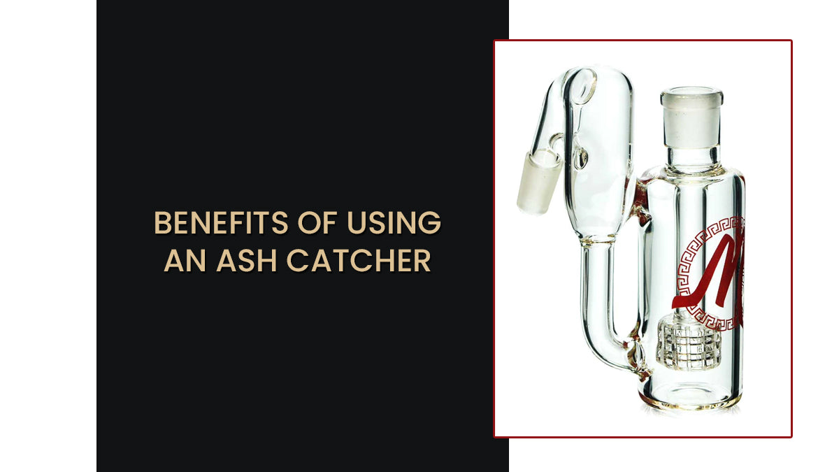 Benefits of Using an Ash Catcher: Cleaner Hits, Less Maintenance
