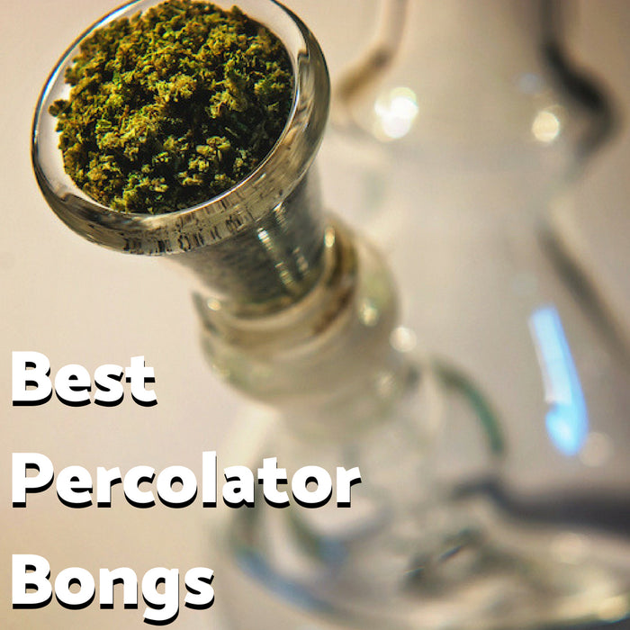 The Best Percolator Bongs of 2026