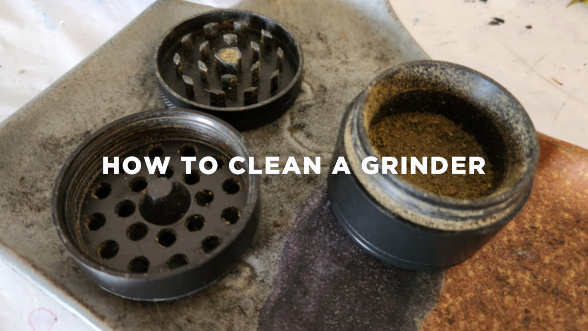 How to Clean a Grinder in 4 Easy Steps (2023) - Badass Glass