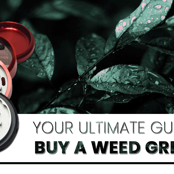 Your Ultimate Guide to Buy a Weed Grinder
