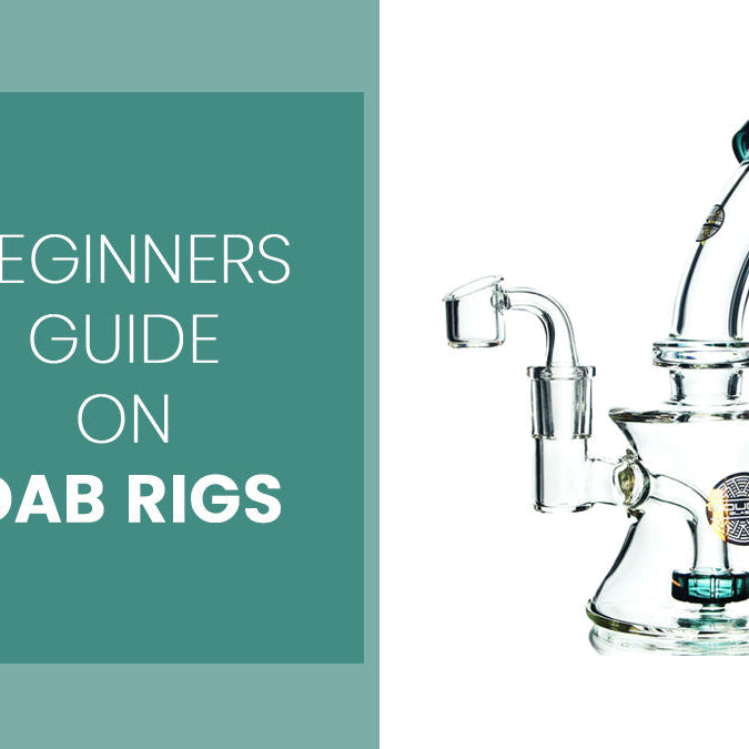 beginners guide on dab rigs