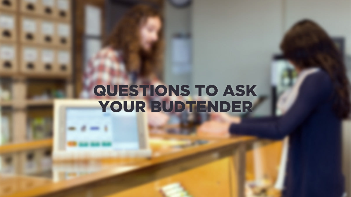 10 Most Important Questions to Ask Your Budtender