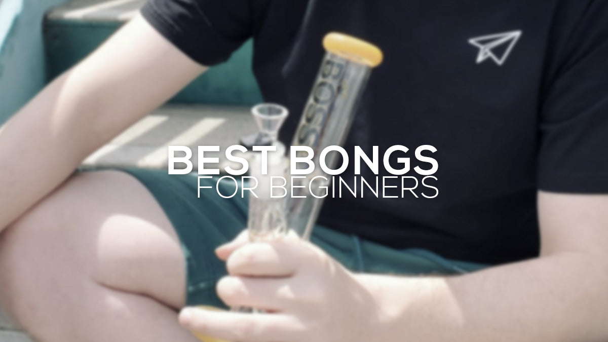 Best Bongs for Beginners: How to Choose a Bong