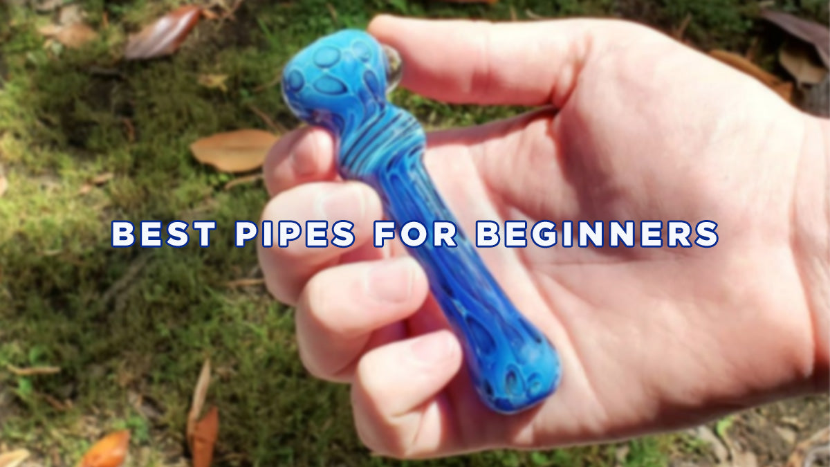 Best Pipes for Beginners - Which One Should You Get?