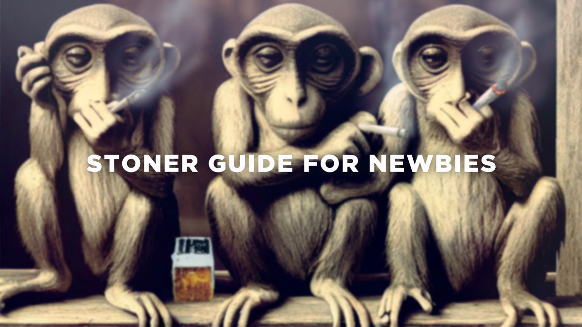 A Stoner's Guide For First-Time Weed Smokers