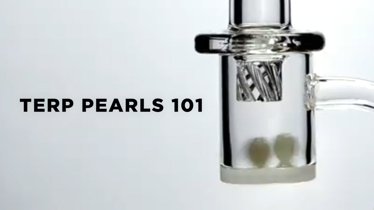Terp Pearls: A Comprehensive Guide (2023) - Badass Glass