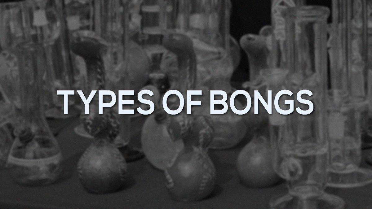 Types of Bongs (with pictures) - Different Water Pipes Explained