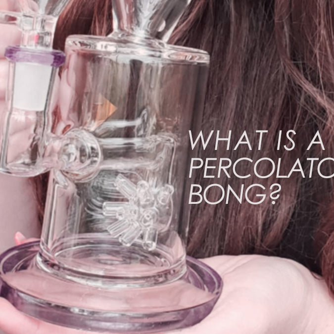 What Is A Percolator Bong & Are They Worth It?