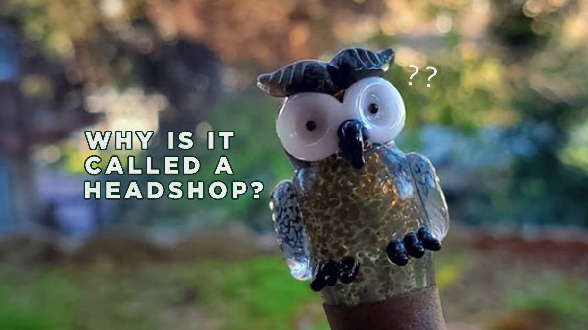 Why Is It Called A Headshop? + More Questions Answered!