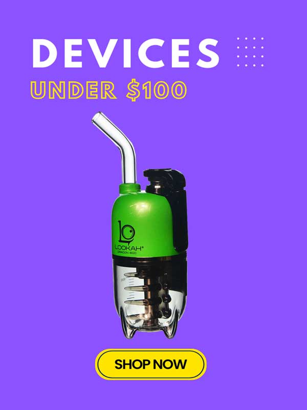 E-Rigs Under $100