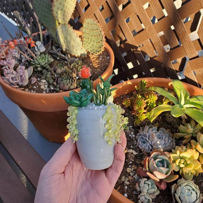 succulents empire photos Succulent Bowl by Empire Glassworks — Badass Glass